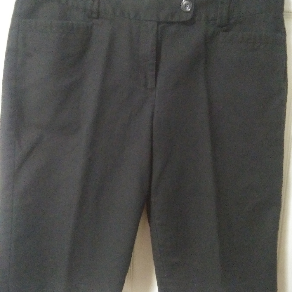 Anne Taylor long shorts